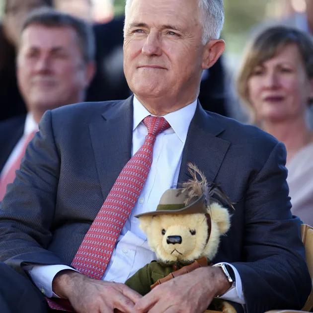 Bears to School